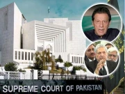 الیکشن دھاندلی پر جوڈیشل کمیشن کا قیام؛ عمران خان کے وکیل کیس سے لاعلم نکلے