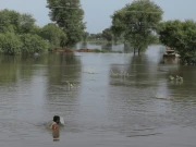 سیلاب متاثرین کی بحالی، نقصانات کی تحقیقات کیلیے پنجاب کی اعلیٰ اختیاراتی پارلیمانی کمیٹی قائم