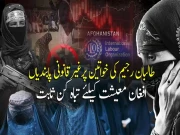 Express News