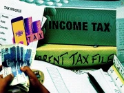 ٹیکس نظام، محصولات کی دوڑ یاپائیدار معاشی