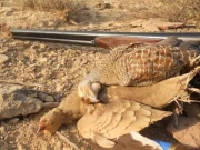 پاڑہ ہرن، کبوتر اور تیتر کے غیرقانونی شکار پر سات ملزمان رنگے ہاتھوں گرفتار