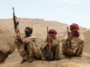 دہشت گردی اور صوبے