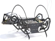 کیڑوں کی طرح چھلانگ لگانے والا مائیکروبوٹ