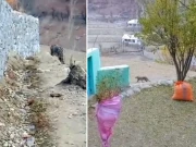 چترال میں معدومیت کا شکار نایاب برفانی چیتے کی موجودگی،  ویڈیو سامنے آ گئی