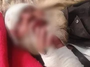 85 سالہ بزرگ پر ظلم، ملزمان نے بیرون ملک مقیم بیٹے کو لائیو کال پر تشدد دکھایا