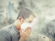 برطانیہ میں زہریلی ہوا سے ہزاروں اموات کا خدشہ