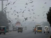 وزیراعلی پنجاب کے موثر اقدامات کے نتیجے میں لاہور کا فضائی معیار بہتر