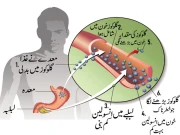 ذیابیطس ٹائپ ون ختم کرنیوالا انقلابی طریق علاج دریافت