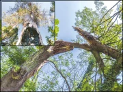 کٹھن وقت گزر جاتا ہے