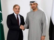 پاکستان کا یو اے ای سے 2.5 ارب ڈالرقرض کیلیے طویل مدت اور کم شرح سود کا مطالبہ