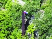 یوکرینی دفاع ٹوٹ گیا، روسی فوج 10 کلومیٹر اندر گھس گئی