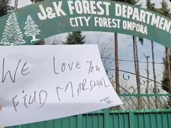 مقبوضہ کشمیر میں بھی پاکستانی عسکری قیادت سے محبت کا اظہار