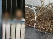 کراچی: اسٹیل ملز سے لوہا اور تانبہ چوری کرنے والے 2 ملزمان گرفتار