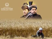 خیبر پختونخوا: احساس فیول سپورٹ پروگرام میں 14 لاکھ کسان رجسٹرڈ