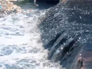 کراچی: ریڑھی گوٹھ میں سمندری آلودگی کی تشویشناک صورتحال