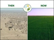 گرین پاکستان انیشیٹو کے تحت زرعی انقلاب، بنجر صحرا سرسبز کھیتوں میں تبدیل