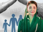 پنجاب ’جنرل انشورنس کمپنی‘ متعارف کروانے والا پہلا صوبہ بن گیا