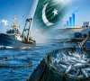 وزیر اعظم ٹاسک فورس کے تحت ماہی گیری کے شعبے میں اہم اقدامات جاری
