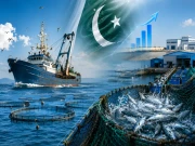 وزیر اعظم ٹاسک فورس کے تحت ماہی گیری کے شعبے میں اہم اقدامات جاری