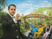 کراچی چڑیا گھر میں اسپیشل بچوں کا داخلہ مفت کردیا گیا