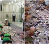 داتا دربار کے نذرانوں میں کروڑوں کا غبن کرنے والے 5 افسران کو سزا