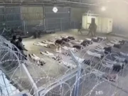 اقوام متحدہ کی رپورٹ میں اسرائیلی جیل میں جنسی تشدد کی تصدیق کی گئی
