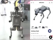 نام نہاد شائننگ انڈیا کی اے آئی سمٹ عالمی سطح پر رسوائی کی علامت بن گئی