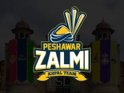 پی ایس ایل کے 10ویں ایڈیشن کیلیے پشاور زلمی اور معروف فوڈ چین کے درمیان معاہدہ طے پا گیا