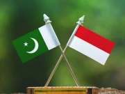 پاکستان اور انڈونیشیا کا ویکسین سازی میں تعاون پر اتفاق