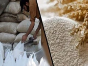 سیلاب اور بارشوں سے غذائی بحران کا خدشہ، ملک بھر میں گندم اور آٹے کی قیمتوں میں اضافہ