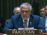 پاکستان کا غزہ میں جرائم کے مرتکب اسرائیل کو انصاف کے کٹہرے میں لانے اور جنگ بندی کا مطالبہ