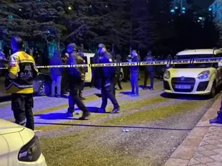 ترکیہ میں سفاک قیدی نے پیرول پر رہا ہوتے ہی ماں، بیوی اور بیٹی کو قتل کردیا