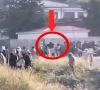 کالعدم جوائنٹ عوامی ایکشن کمیٹی کی فورسز کے اہلکاروں پر فائرنگ کی ویڈیو منظرعام پر آگئی
