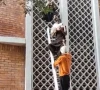 پمز سانحہ: اسپتال کی گرل توڑ کر بچوں کو نکالنے کی فوٹیج منظر عام پر آگئی