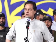 مولانا فضل الرحمن ہمارے لیے باپ کی جگہ ہیں، کیپٹن (ر) صفدر