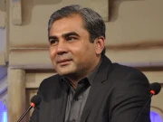 امریکا میں کسی بھی چین مخالف تقریب میں شرکت نہیں کی، وزیر داخلہ