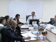 3 ادارے نجکاری پروگرام میں شامل،2 ڈی لسٹ کرنے کی تجویز