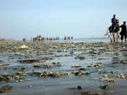 سمندری آلودگی کیخلاف بڑا اقدام: وفاقی وزارت بحری امور کا سندھ حکومت سے اشتراک عمل کا اعلان