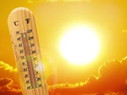 سندھ میں ہیٹ ویو الرٹ جاری، کراچی میں موسم گرم ومرطوب رہنے کی امکان