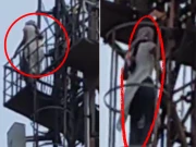  نوجوان لڑکی ماں کی ڈانٹ سے دلبرداشتہ ہوکر موبائل ٹاور پر چڑھ گئی