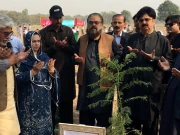 پاکپتن کے شہری کا لاہور کو فضائی آلودگی سے پاک بنانے کا عزم، 10 ہزار پودوں کا تحفہ