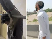 پنڈی میں غیرانسانی تشدد کی دو ویڈیوز وائرل، ملزم کی تلاش شروع