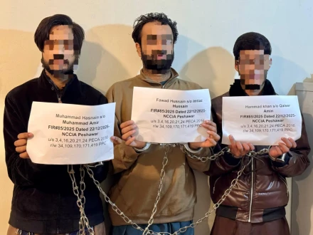 راولپنڈی: ایف آئی اے اہلکار بن کر طالبہ کو بلیک میل کرنے والے تین ملزمان گرفتار