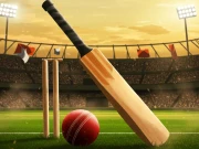 وجے ہزارے ٹرافی: پہلے ہی دن رنز اور سنچریوں کی بارش، نئے ریکارڈز، بولرز اور پچز پر سوالات