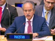پاکستانی مندوب کا عالمی قوانین کے تحت مسئلہ فلسطین اور کشمیر کے حل پر زور