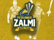پی ایس ایل 11؛ پشاور زلمی نے اہم غیرملکی کھلاڑی سائن کر لیا