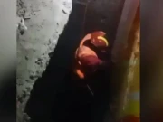 لاہور: سیوریج لائن میں ماں بیٹی کے گرنے کے واقعے کی ابتدائی تحقیقاتی رپورٹ سامنے آگئی