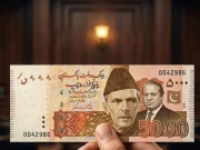  مسلم لیگ ن کے رکن  پنجاب اسمبلی کا 5 ہزار  روپےکے نوٹ  پر نواز  شریف کی تصویر  لگانے کا مطالبہ 