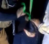 پشاور: سفاک خاتون نے 17 سالہ حاملہ بیٹی کو پھانسی دے دی