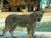 کراچی چڑیا گھر میں متعدد تفریحی سہولیات کا افتتاح کر دیا گیا